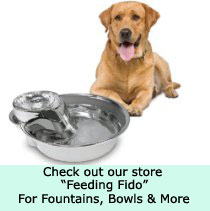 big max dog fountain